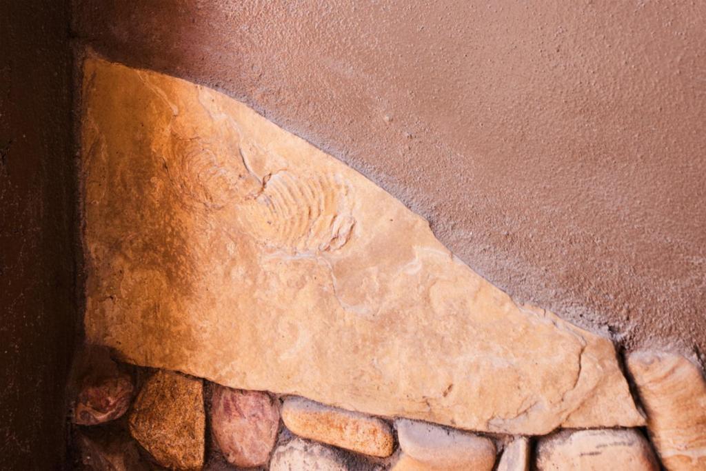Vila Casa Piedra ⁠ — Short Drive From Big Bend Terlingua Exteriér fotografie